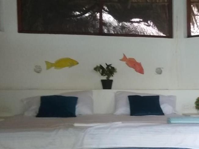 Ecohotel Nativa Cartagena