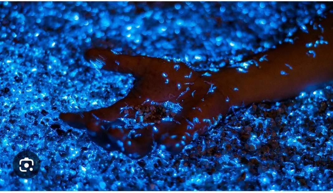 Ecohotel Nativa Hotel Cartagena